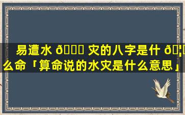 易遭水 🐋 灾的八字是什 🦁 么命「算命说的水灾是什么意思」